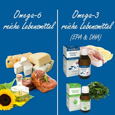 omega 6 fettsäuren lebensmittel.